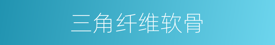 三角纤维软骨的同义词