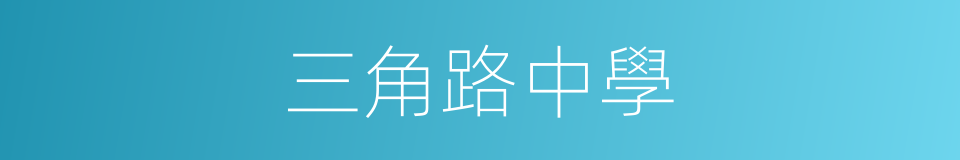 三角路中學的同義詞
