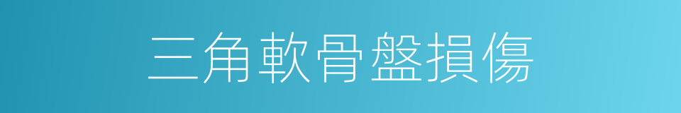 三角軟骨盤損傷的同義詞