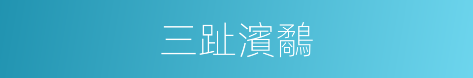 三趾濱鷸的同義詞