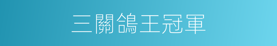 三關鴿王冠軍的同義詞