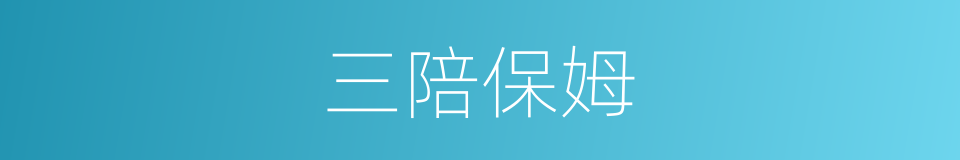 三陪保姆的同义词