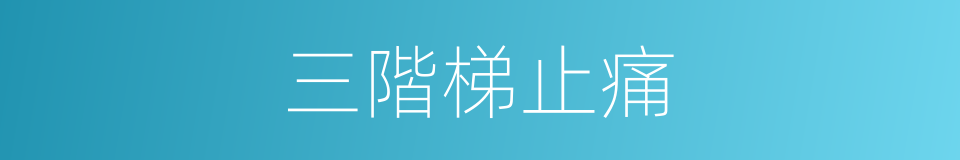 三階梯止痛的同義詞