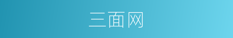 三面网的意思