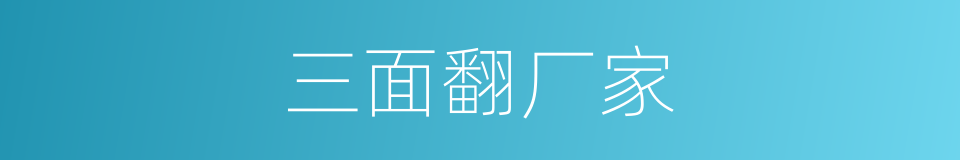 三面翻厂家的同义词