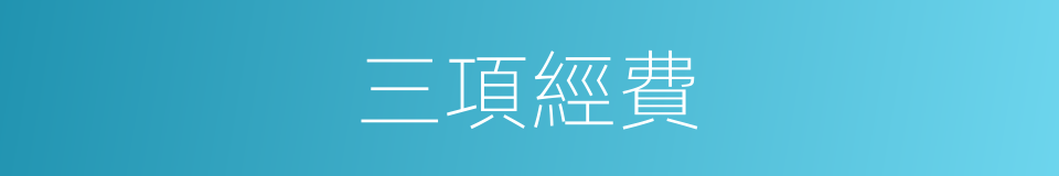 三項經費的同義詞