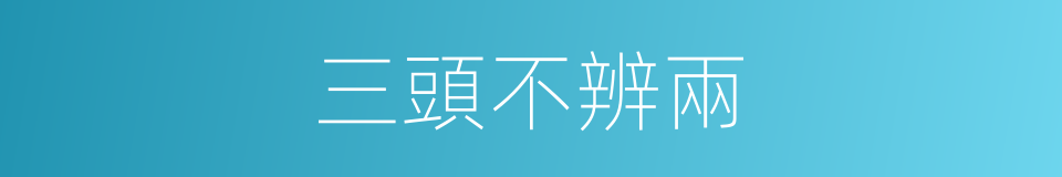 三頭不辨兩的同義詞