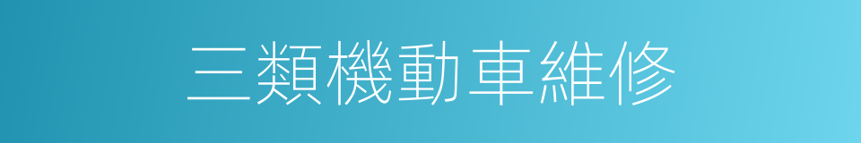 三類機動車維修的同義詞