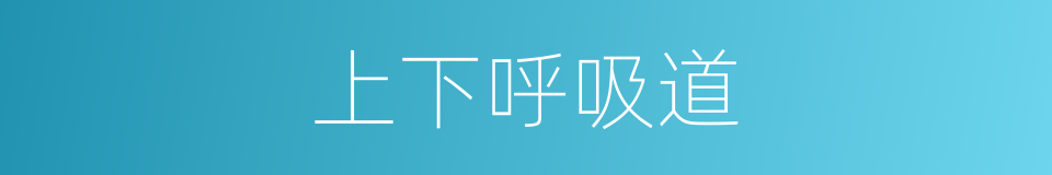 上下呼吸道的同义词