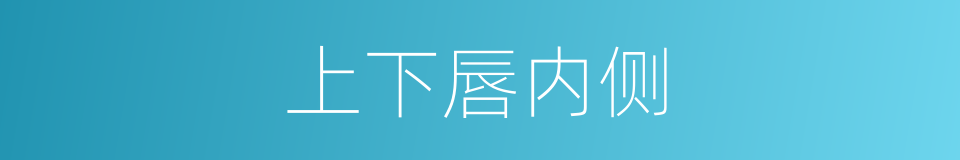 上下唇内侧的同义词
