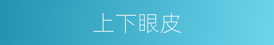 上下眼皮的同义词