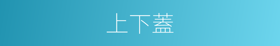 上下蓋的同義詞