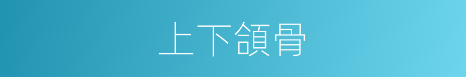 上下頜骨的同義詞