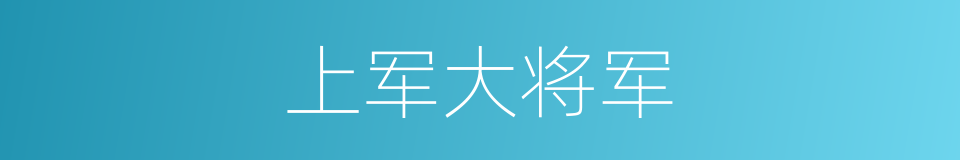 上军大将军的同义词