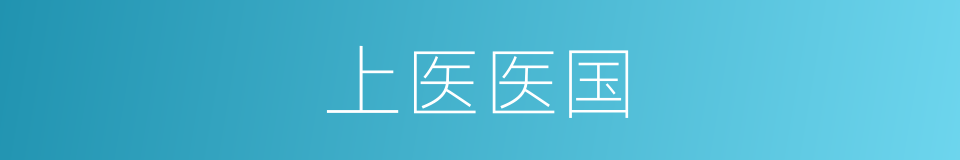 上医医国的意思
