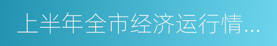 上半年全市经济运行情况综述的同义词