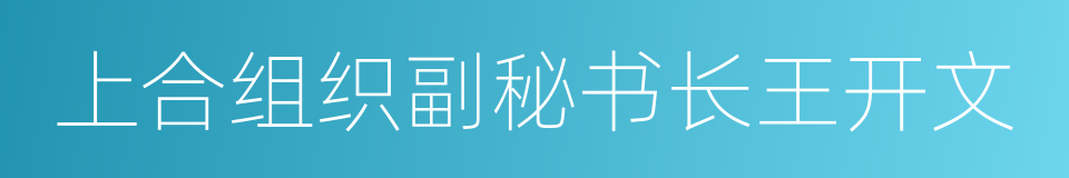 上合组织副秘书长王开文的同义词