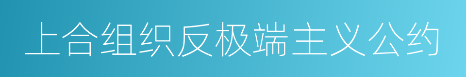 上合组织反极端主义公约的同义词