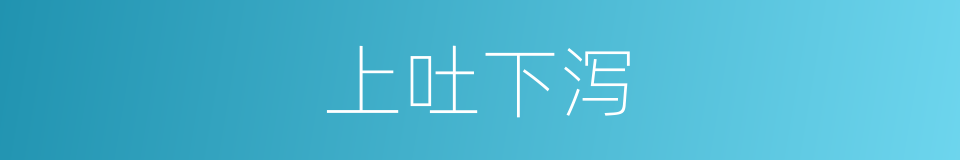 上吐下泻的意思