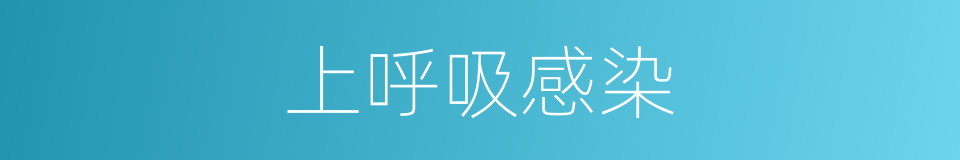 上呼吸感染的同义词