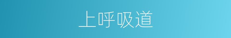上呼吸道的意思