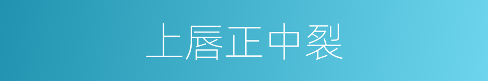上唇正中裂的同义词