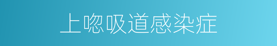 上唿吸道感染症的同義詞