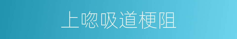 上唿吸道梗阻的同義詞
