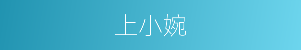 上小婉的同义词