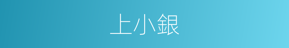 上小銀的同義詞