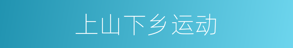 上山下乡运动的同义词