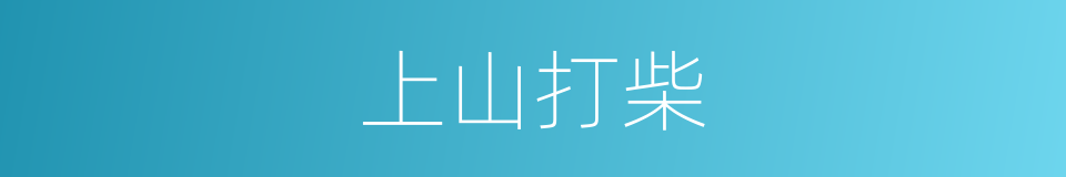 上山打柴的同义词