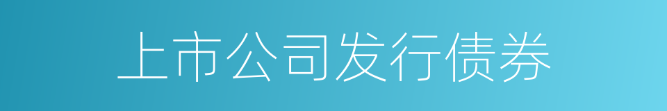 上市公司发行债券的同义词