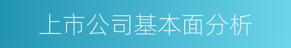 上市公司基本面分析的同义词