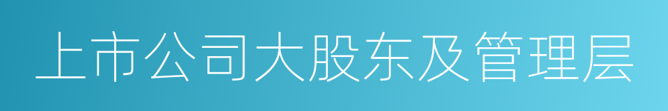 上市公司大股东及管理层的同义词