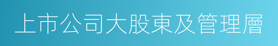 上市公司大股東及管理層的同義詞