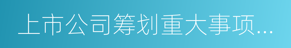 上市公司筹划重大事项停复牌业务指引的同义词