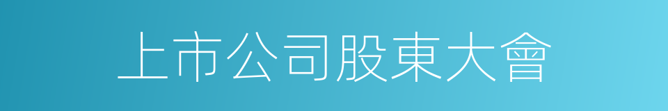 上市公司股東大會的同義詞