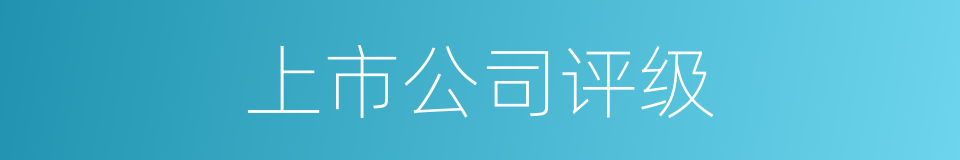 上市公司评级的同义词