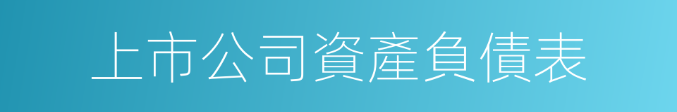 上市公司資產負債表的同義詞