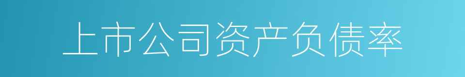 上市公司资产负债率的同义词