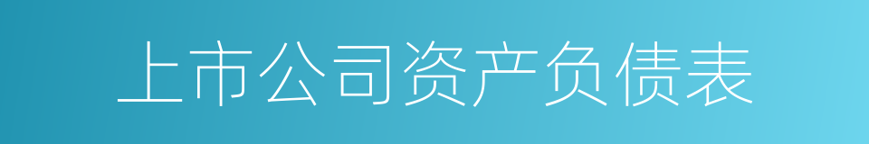 上市公司资产负债表的同义词