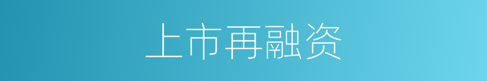 上市再融资的同义词