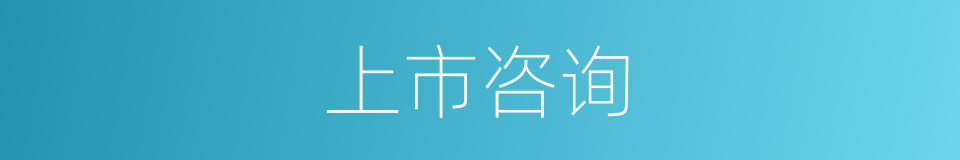 上市咨询的同义词