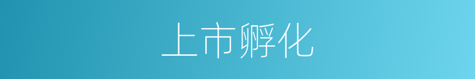 上市孵化的同义词