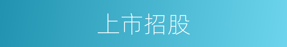 上市招股的同义词