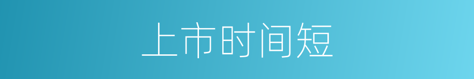 上市时间短的同义词