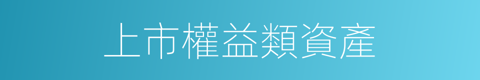 上市權益類資產的同義詞