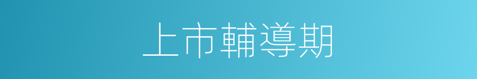 上市輔導期的同義詞