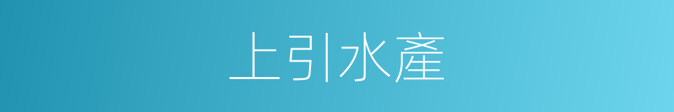 上引水產的同義詞